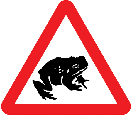 Migratory toad crossing